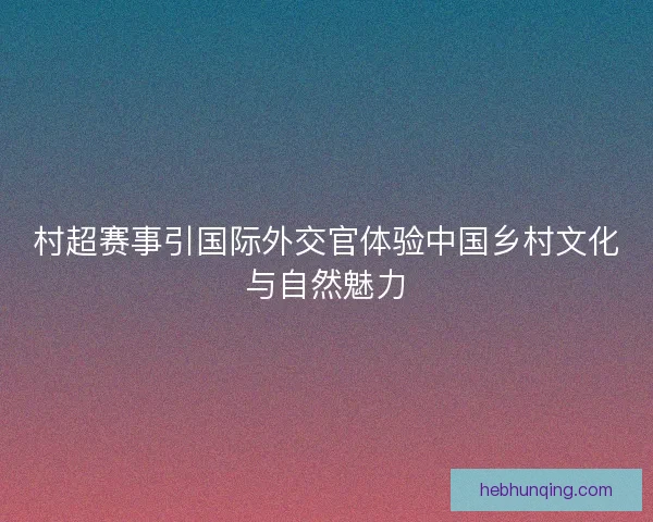 村超赛事引国际外交官体验中国乡村文化与自然魅力